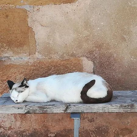 Cal Tomas, Ecoturisme Terra Alta * Bot