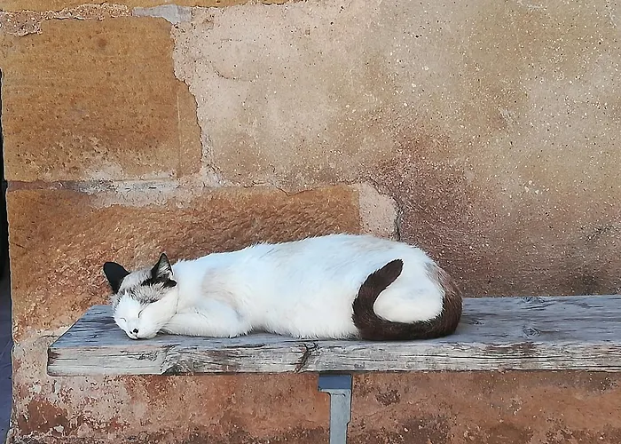 Cal Tomas, Ecoturisme Terra Alta * Bot